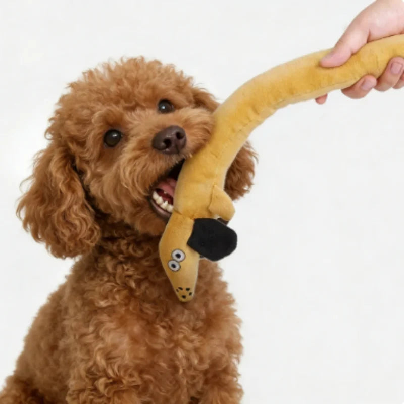 Schnüffelspielzeug Schnecke – Interaktives Suchspielzeug für Hunde